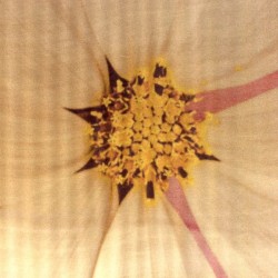 PR-1014 - Φλοράλ Μεταξωτό Εμπριμέ Πανό