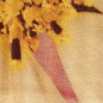 PR-1014 - Φλοράλ Μεταξωτό Εμπριμέ Πανό