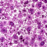 PR-1036 - Εμπριμέ Βατίστα 