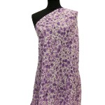 PR-1036 - Εμπριμέ Βατίστα 