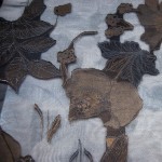 SF-1004 - Μεταξωτή Οργάντζα Ζακάρ