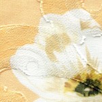 SF-1032 - Ντεβορέ Μουσελίνα 