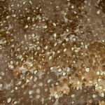 SF-1034A - Ντεβορέ Μουσελίνα με Lurex