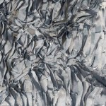 FA-1142 - Τούλι Κεντημένο Φρουαζέ Γκρί